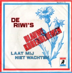 Blauwe korenbloemen