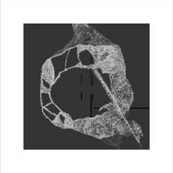Eli Keszler / Keith Fullerton Whitman