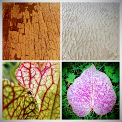 Nature and Maths