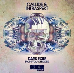 Path You Choose / Dark Exile