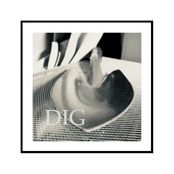 DIG