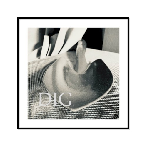 DIG
