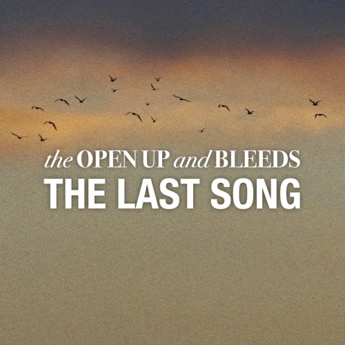 The Last Song