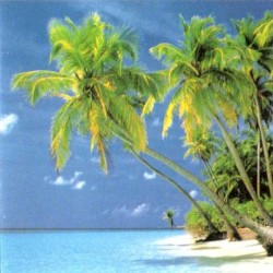 Welcome to Reggaeland: The Best of Reggae Hits