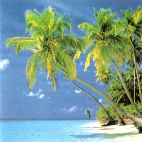Welcome to Reggaeland: The Best of Reggae Hits