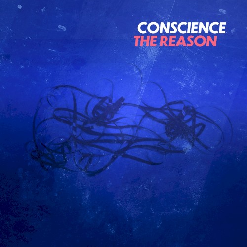 The Reason