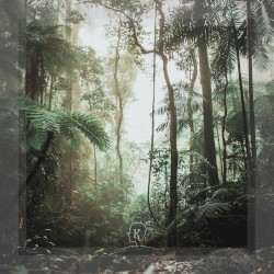 Rainforests