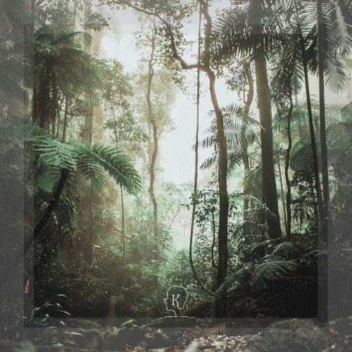 Rainforests