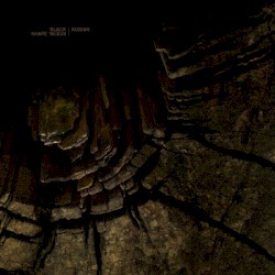 Black Shape of Nexus / Kodiac