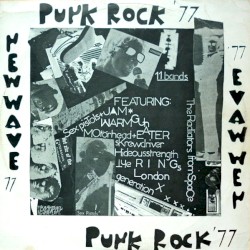 Punk Rock '77 New Wave '77