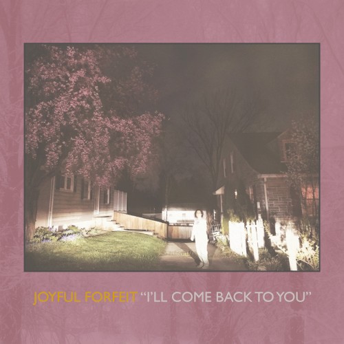 I'll Come Back to You