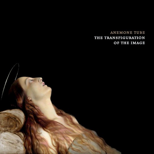 The Transfiguration of the Image
