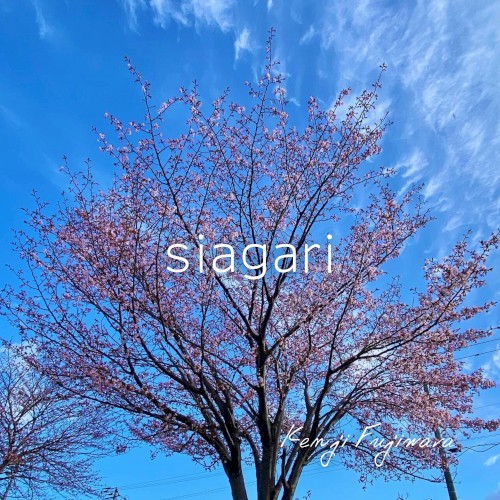 siagari