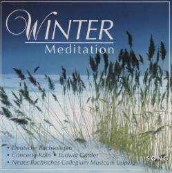 Winter Meditation