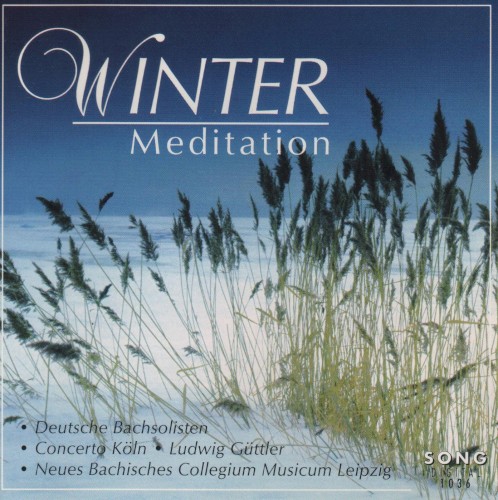 Winter Meditation