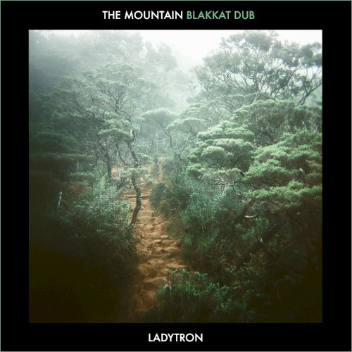 The Mountain (Blakkat dub)