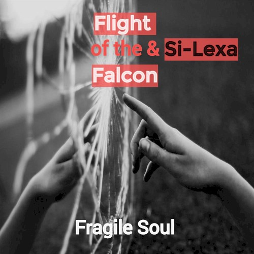 Fragile Soul