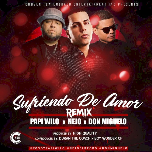 Sufriendo de amor (remix)