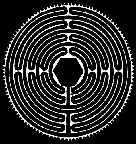 Life-Death Continuum