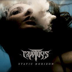 Static Horizon