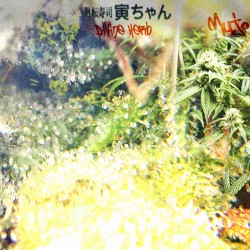 Divine Herb Cassette
