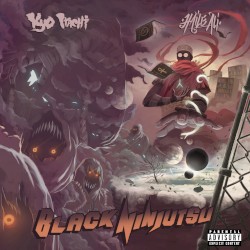 Black Ninjutsu