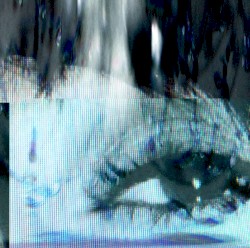 Fall Asleep (demo)