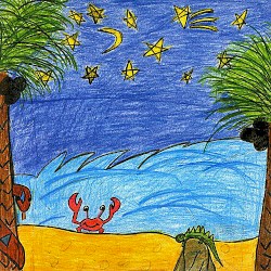 A Night in the Tropics