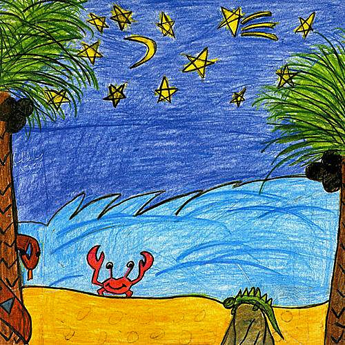 A Night in the Tropics