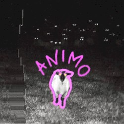 Animo