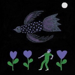 The Purple Bird
