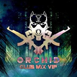 Orchid