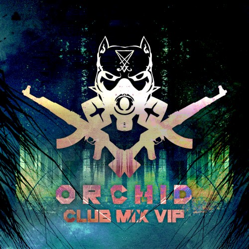 Orchid