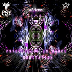 Psychedelic in Dance Meditation