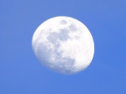 Japan Moon Landing