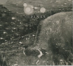 Pasture: Folk Songs