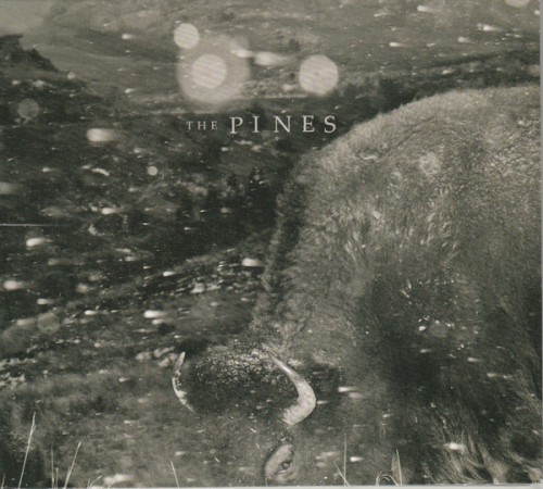 Pasture: Folk Songs