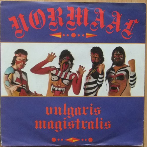 Vulgaris Magistralis