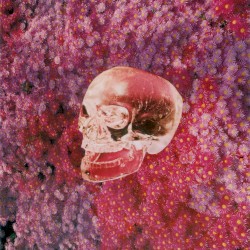 Bluetooth 1922