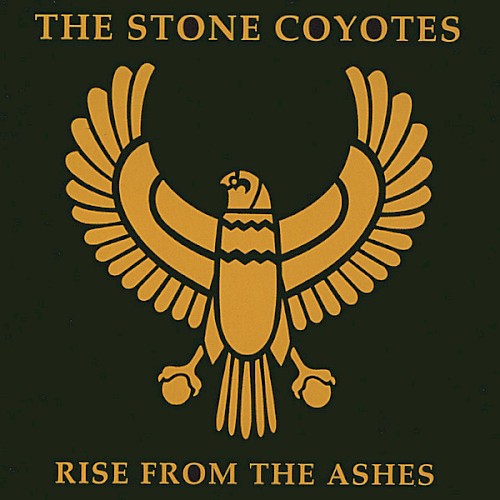 Rise From the Ashes