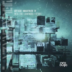 Cottage Industries 12: Into the Luminous Future