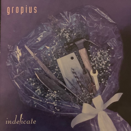 Indelicate