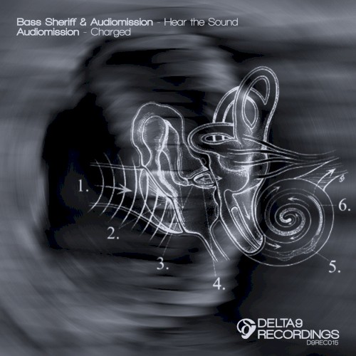 Hear the Sound / Charged