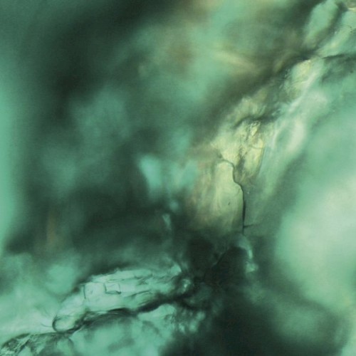 Vitreum