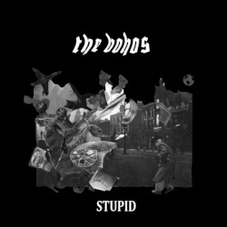 Stupid
