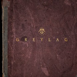 Greylag