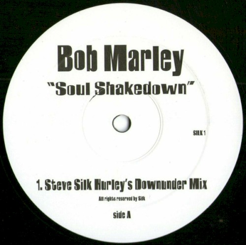 Soul Shakedown