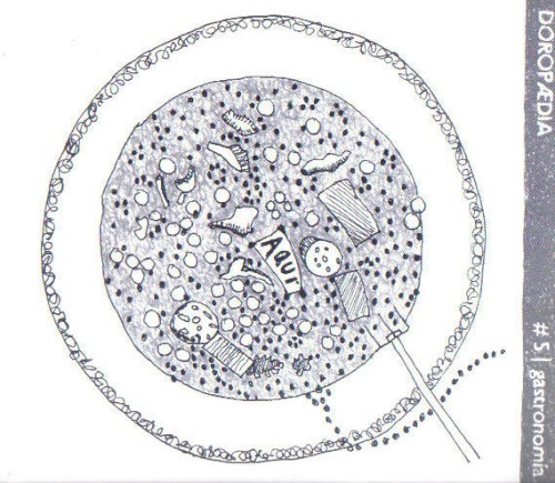 Doropaedia: Gastronomía