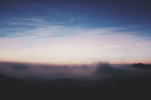 Misty Daydream