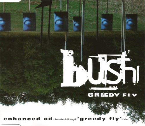 Greedy Fly